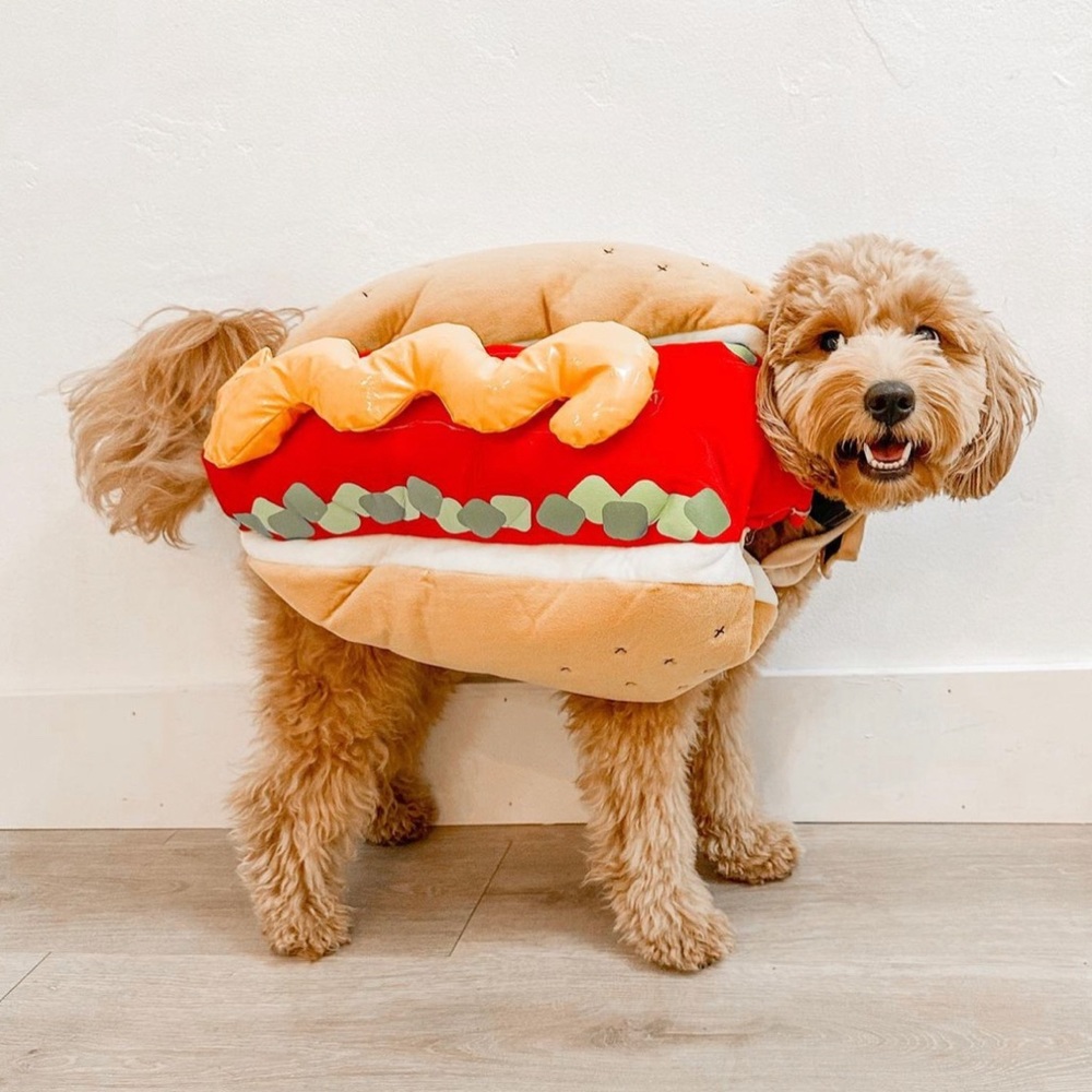 Hotdog costume